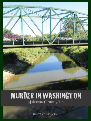 cover image of Murder in Washington